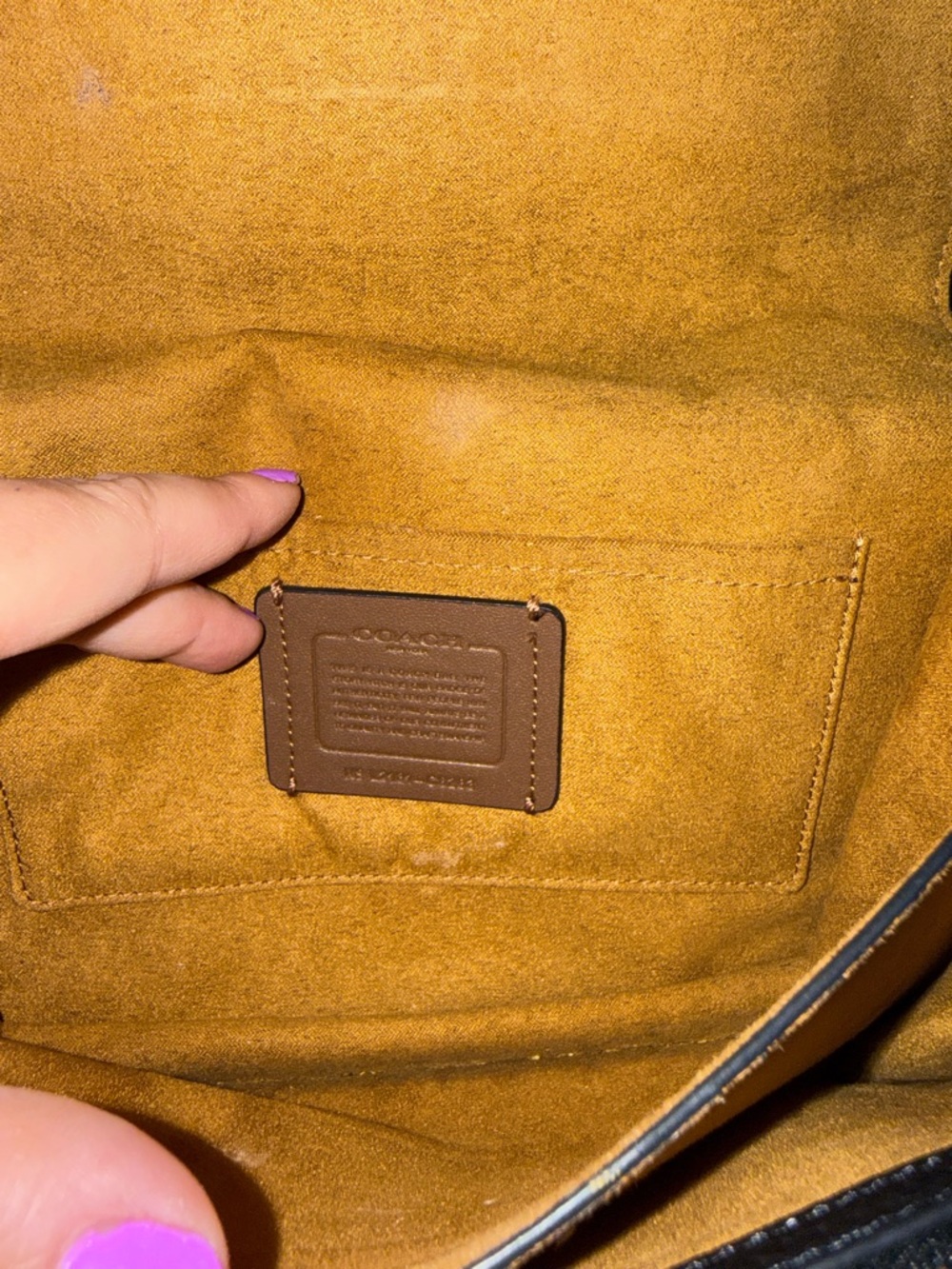 Coach Klare Crossbody with Diary Embroidery RARE LIMITED EDITION - Picture 10 of 15